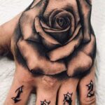 525752358 122112481826939116 3672422825233807507 n