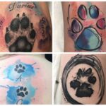 528208612 122114684354939116 8732192423551737398 n