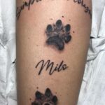 568834419 122131723424939116 2053376139885201539 n