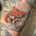 595046156 122139709238939116 1122133011220940313 n